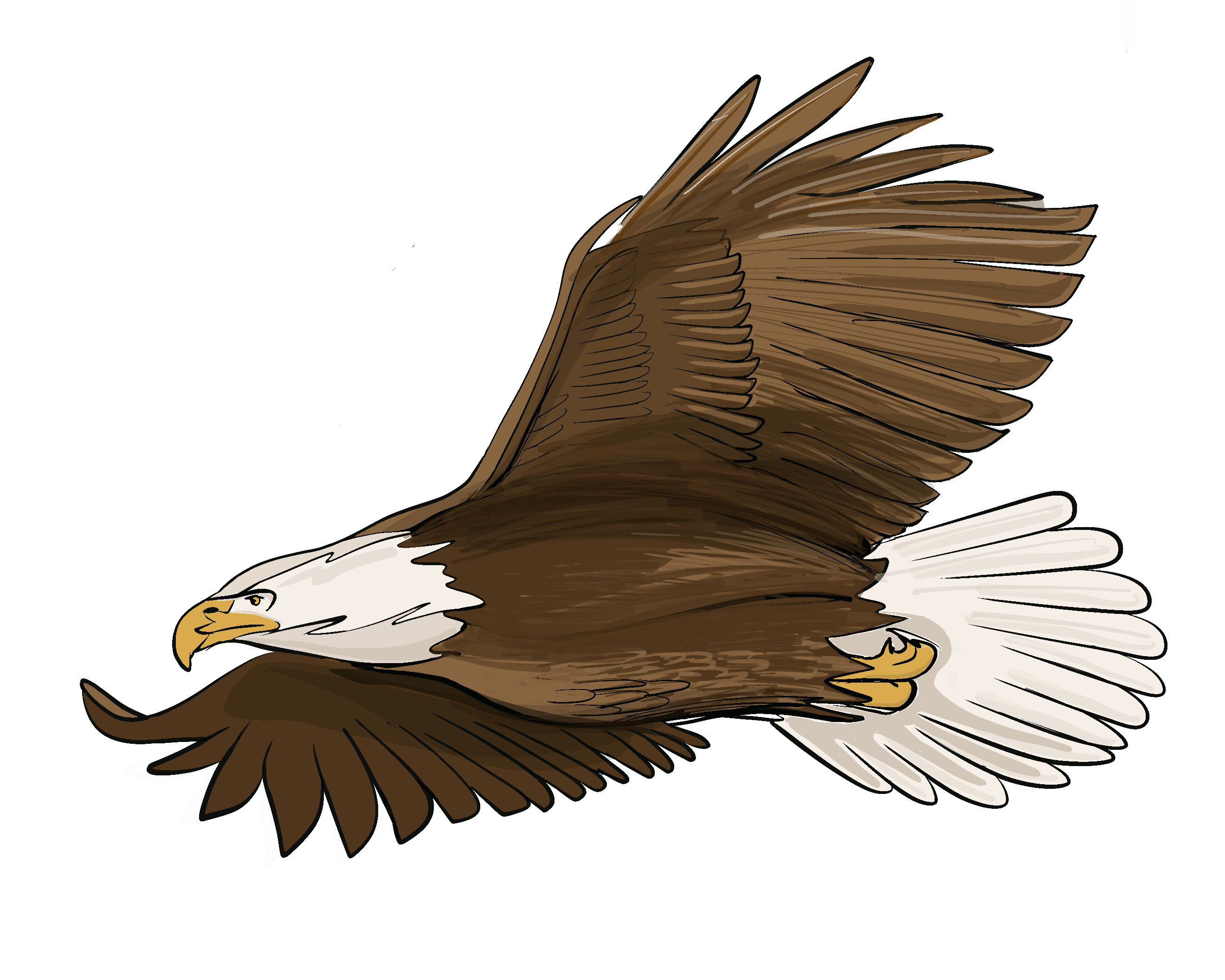 thumbnail for Fly Eagle Fly - Lhokw' sp'óq'es lhokw'