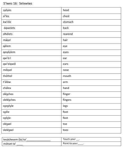 S'íwes 16:  Selxwíws