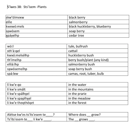 S'íwes 38:  Sts'ísem -Plants
