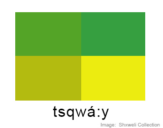 Colours- level 3