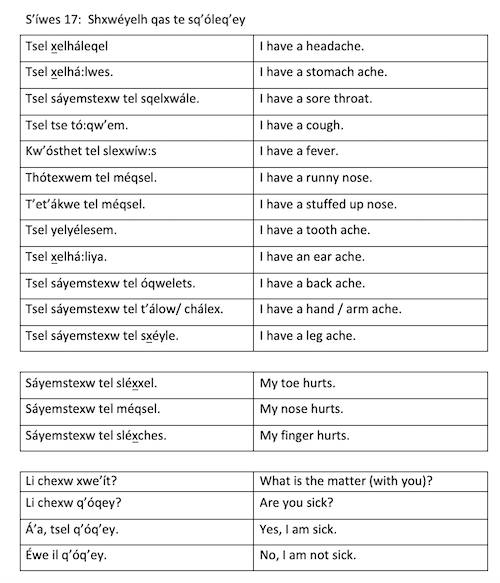 S'íwes 17:  Health and sickness