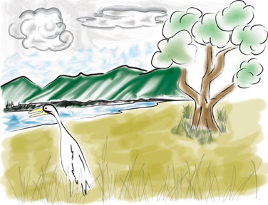 thumbnail for Life On Herrling Island - Sta li te Smomoqwe