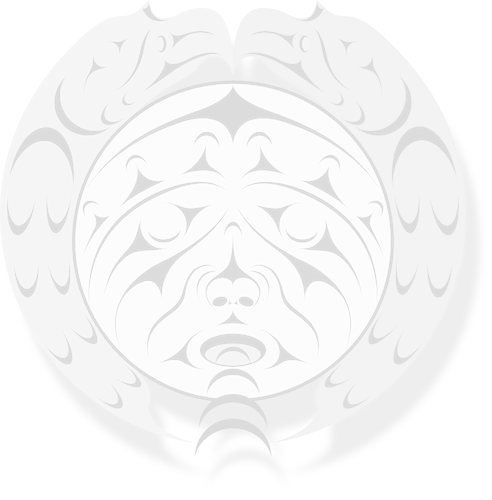 image for About our website and data sovereignty